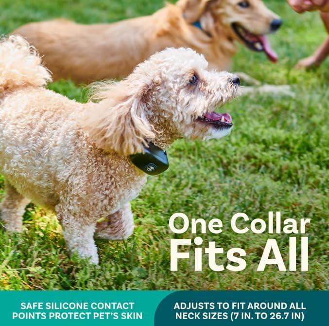 PawGuard™ Wireless Dog Fence - Image 4