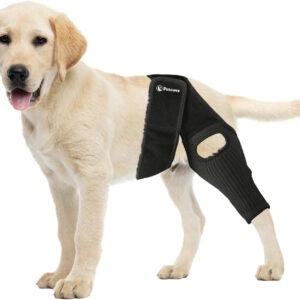 PawEase™  Knee Brace