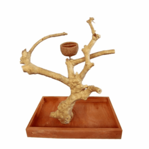 Wood Tabletop Bird Play Stand with Branch Perches and Feeder Cup