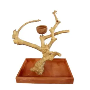 Wood Tabletop Bird Play Stand with Branch Perches and Feeder Cup