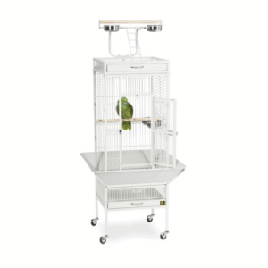 Parrot Cage with Play Top and Stainless Steel Cups