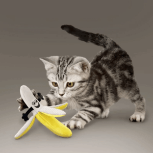 Cat Toy with Catnip Filling and Crinkle Texture