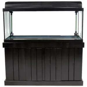 Rectangular Glass Aquarium Tank for Freshwater and Saltwater Use
